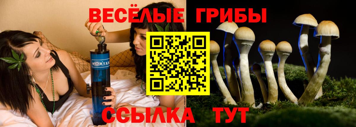 наркошоп  Вход с VPN  Новый Уренгой  Псилоцибиновые грибы Magic Shrooms 
